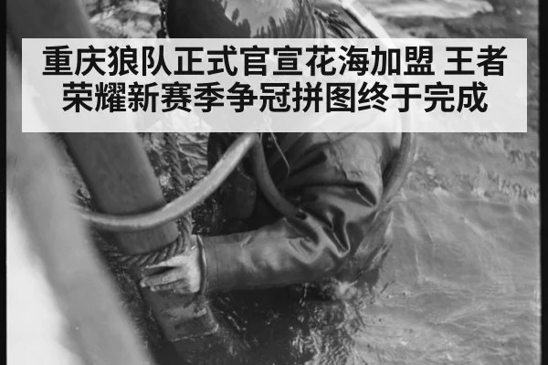 重庆狼队正式官宣花海加盟 王者荣耀新赛季争冠拼图终于完成